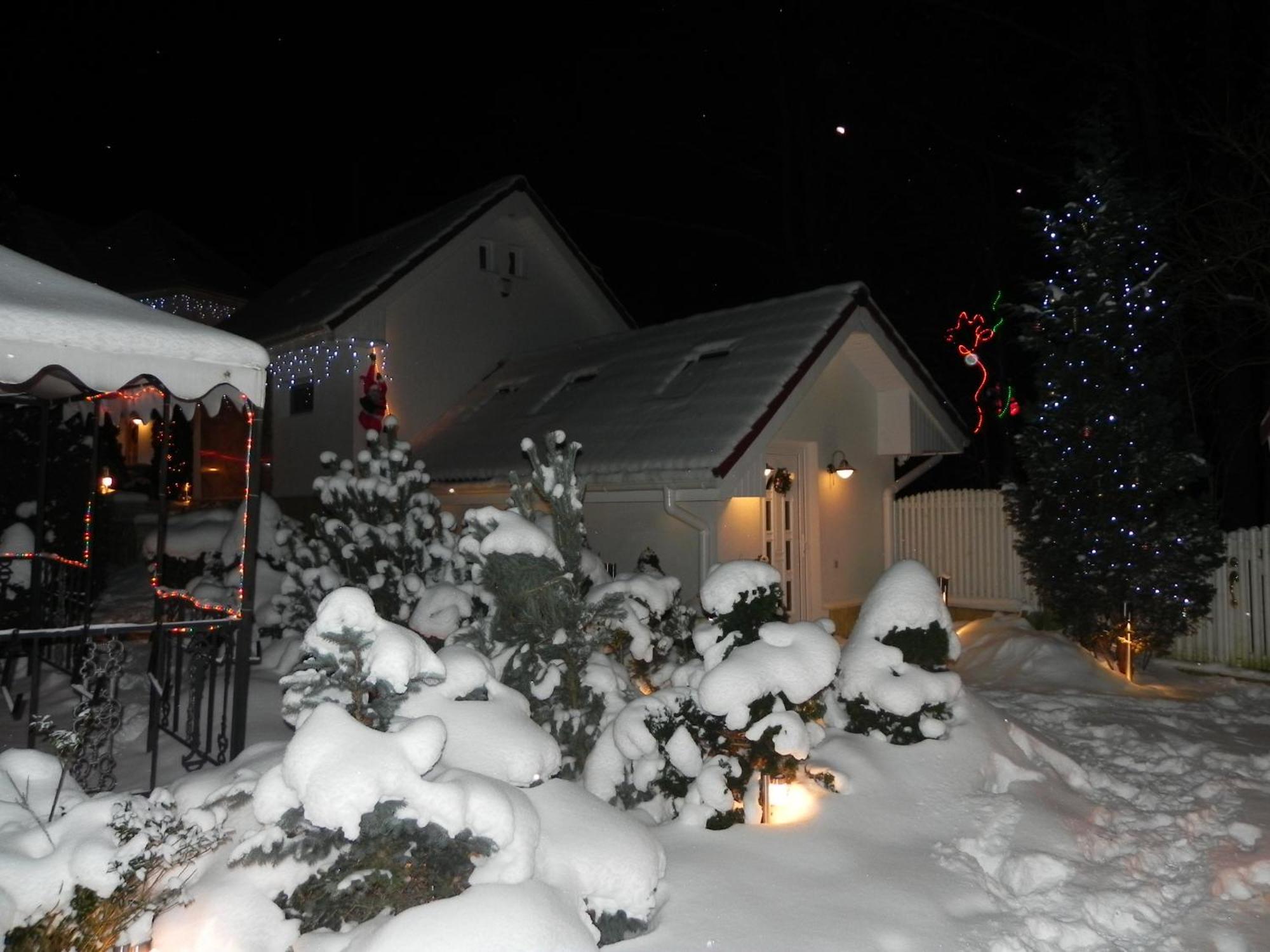 Boutique Hotel Forest Retreat (Adults Only) Buşteni Exterior foto