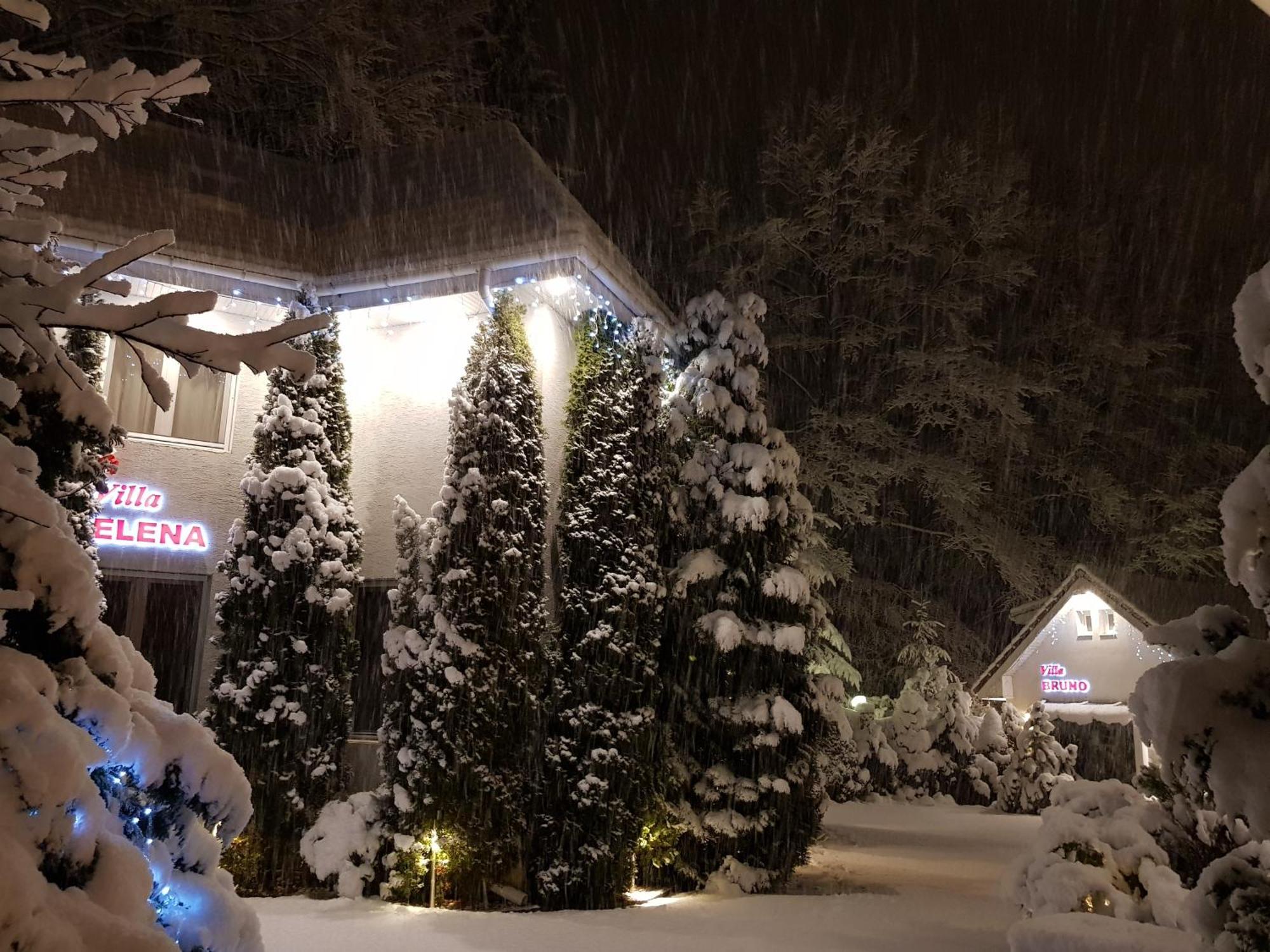 Boutique Hotel Forest Retreat (Adults Only) Buşteni Exterior foto