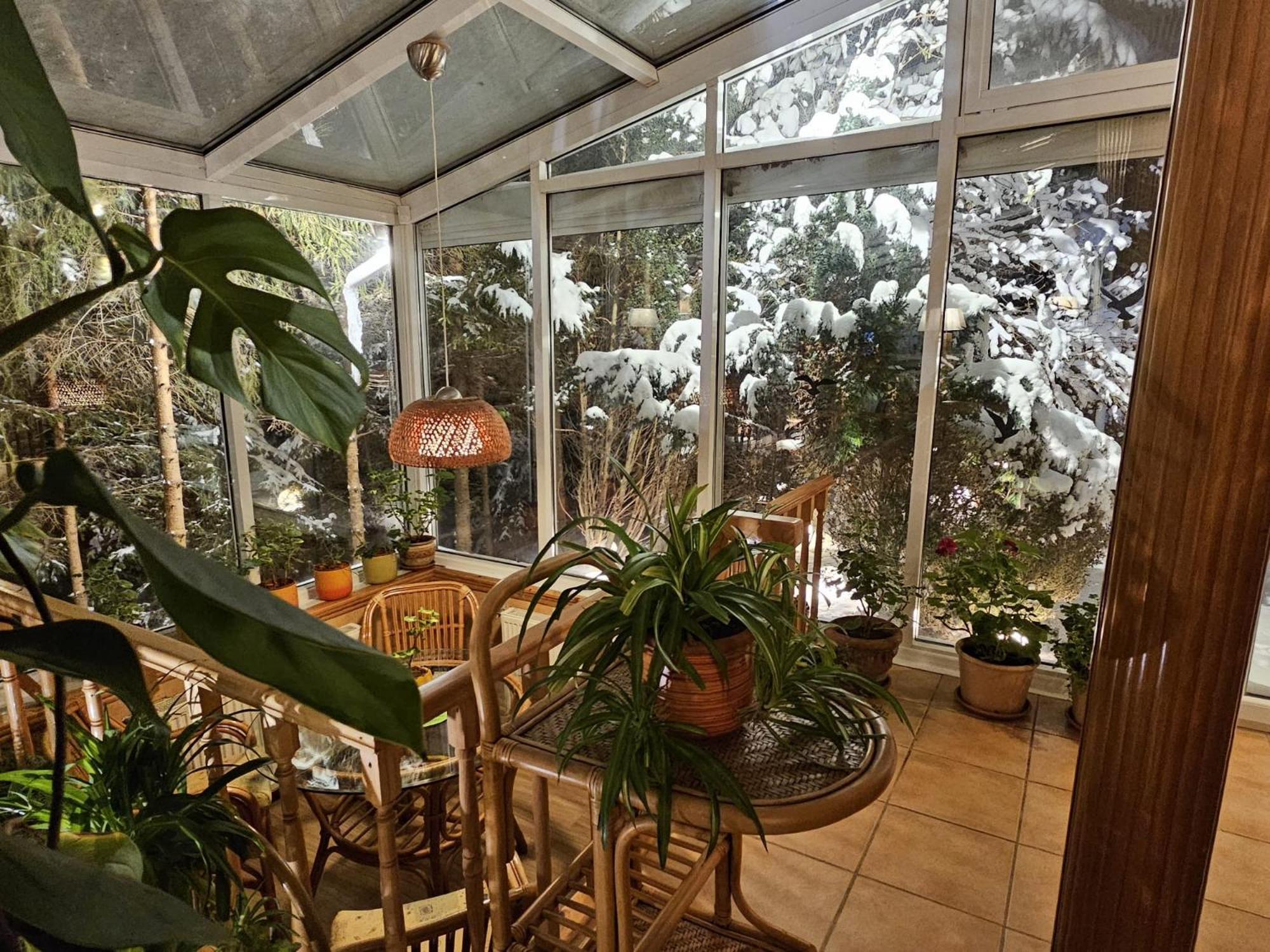 Boutique Hotel Forest Retreat (Adults Only) Buşteni Exterior foto