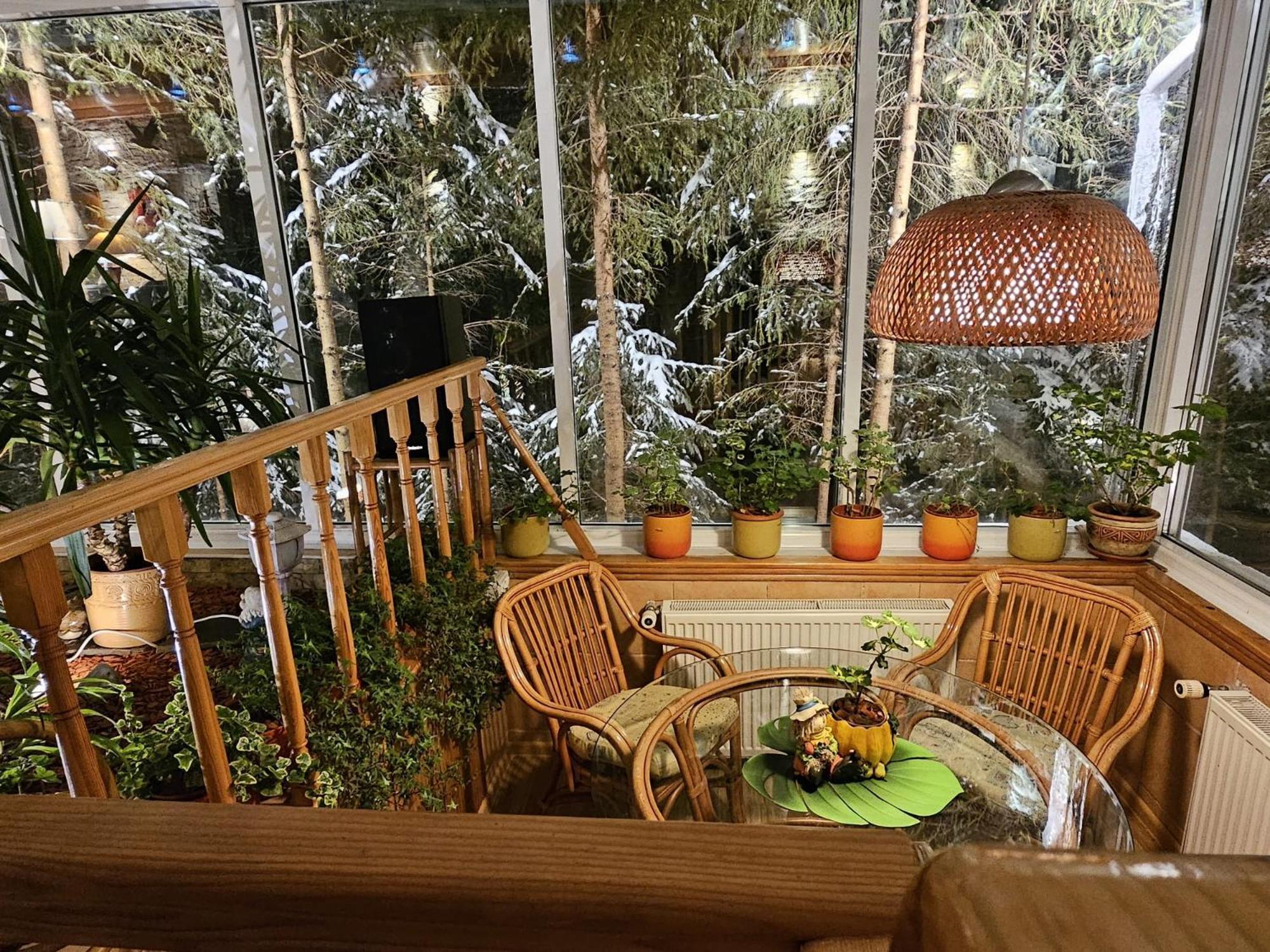 Boutique Hotel Forest Retreat (Adults Only) Buşteni Exterior foto